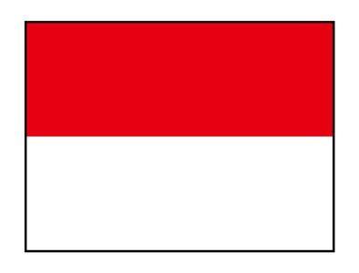 ӡ��������PT.GGP늏S