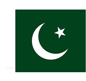 �ͻ�˹̹SITARA CHEMICALS INDUSTRIES