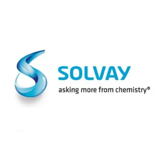 �����r(sh��)�����S��Solvay�����Ҹ��(xi��ng)Ŀ�p����